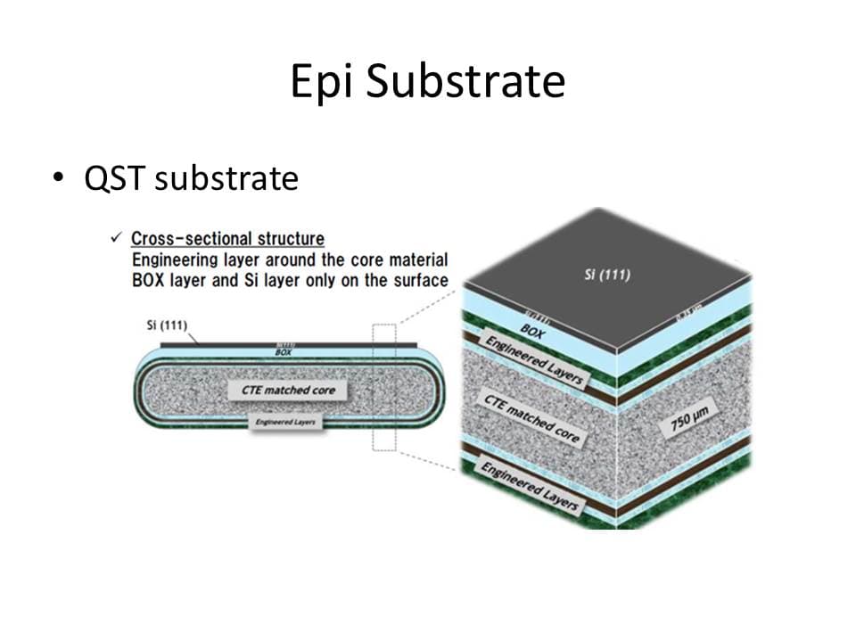 SiC & GaN Epi Substrate