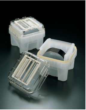 8 inch Box & 12 inch FOSB